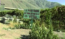 fev 08_COLORES_pascualama